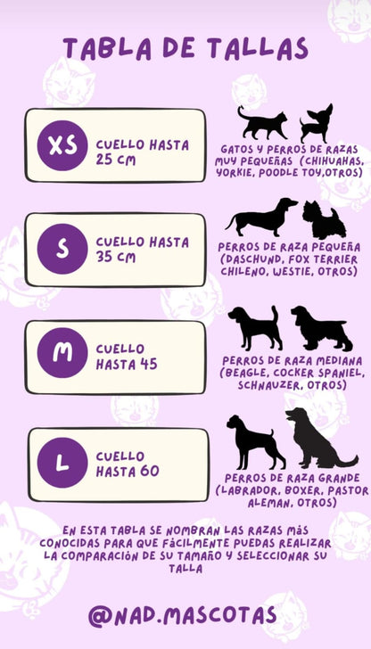 Box Bandana + Collar + Placa de identificación