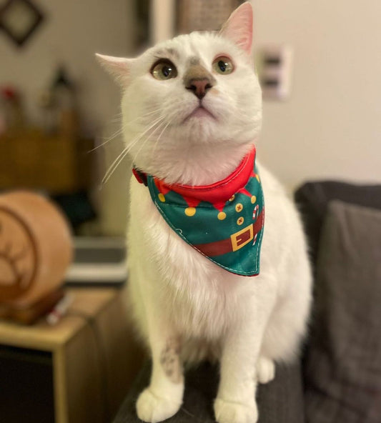 Bandana Ayudante de Santa  🧝 🎄