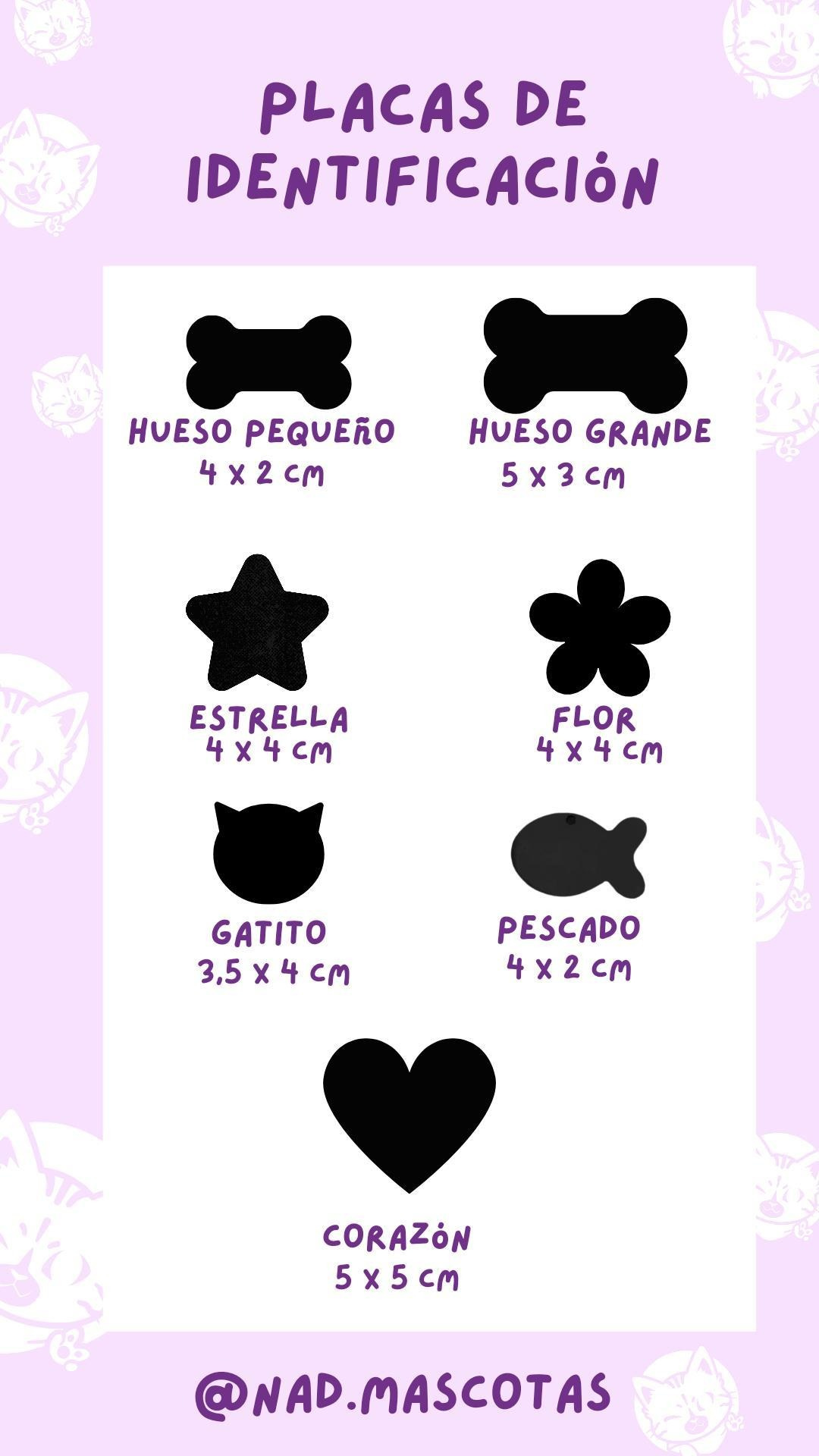 Box Bandana + Collar + Placa de identificación