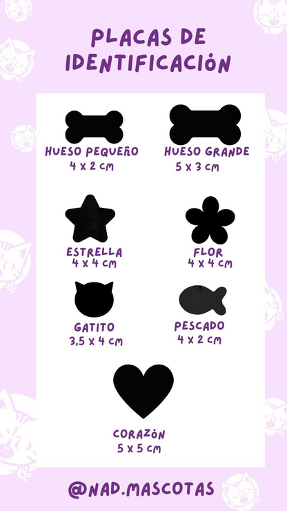 Box Bandana + Collar + Placa de identificación