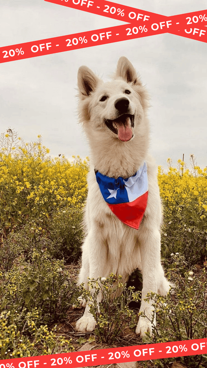 Bandana Chilenos de Corazón