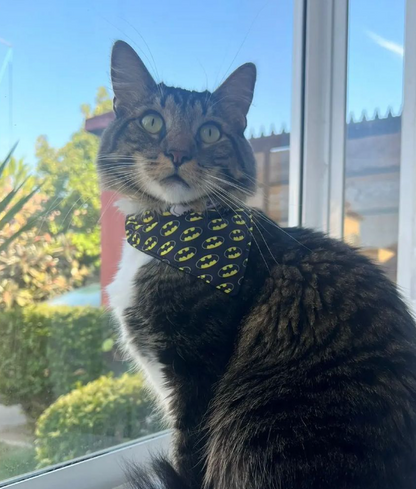 Bandana Batman 🌃